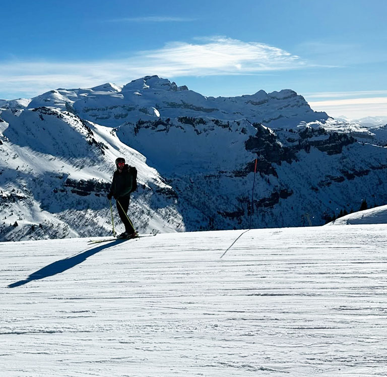 Wren-Holiday-snow Wren-Holiday-snow